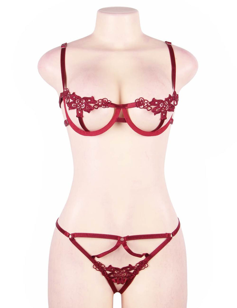 Red Elegant Embroidery Fashion Bra Set With Underwire